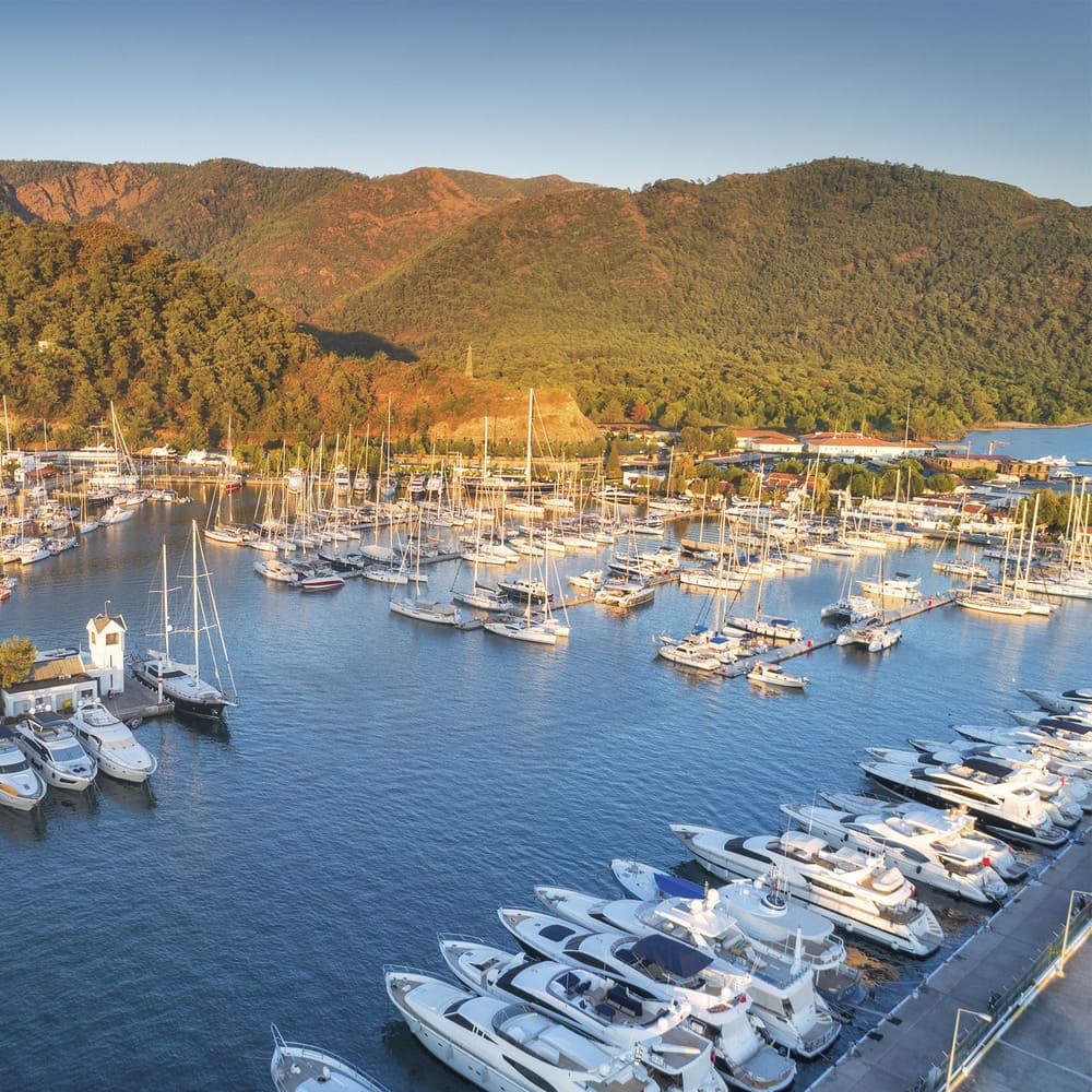 Detail - All Class Detailing